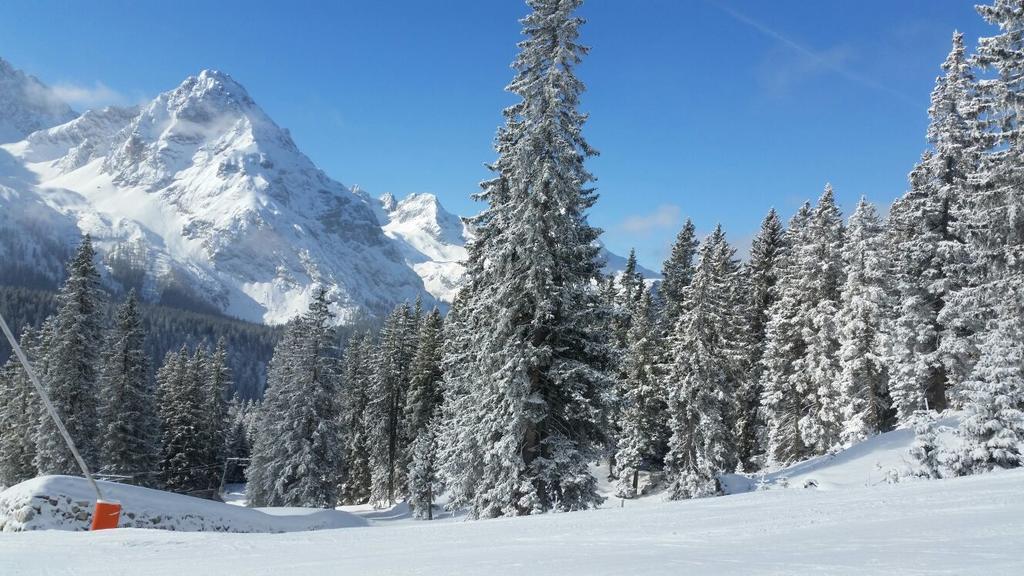 Pension Lischenhof Ehrwald Luaran gambar
