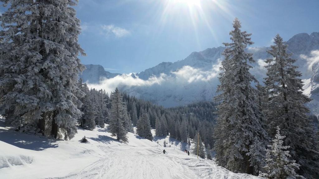 Pension Lischenhof Ehrwald Luaran gambar